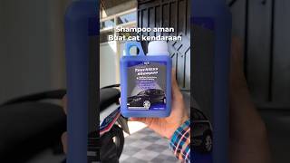 RS31 touchless shampoo mobil &amp; motor
