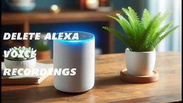How to Delete Alexa Voice Recordings