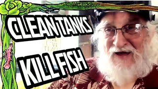 How Do I Keep My Fish Alive? A Clean Tank Can Kill Your Fish.
