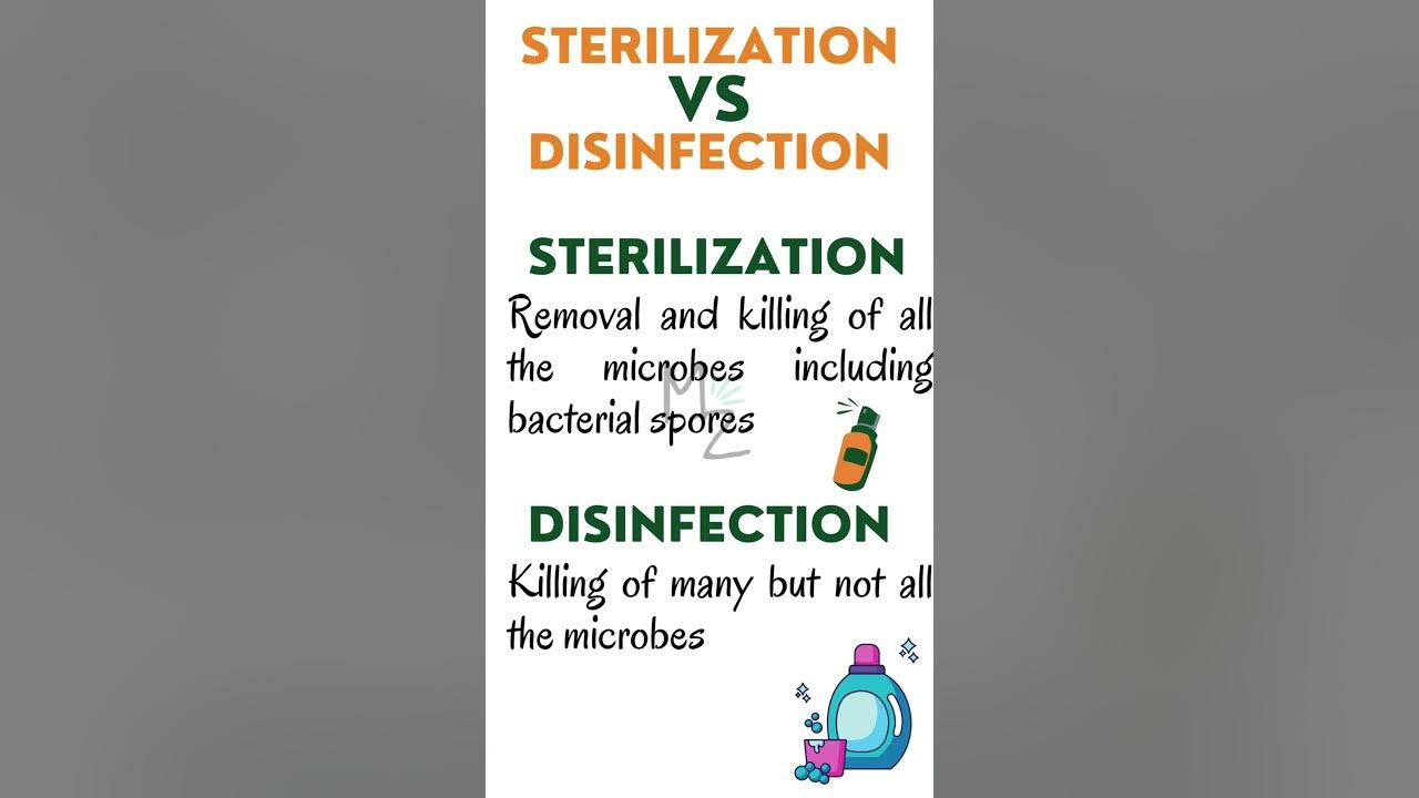 Sterilization vs disinfection sterilization disinfectants 