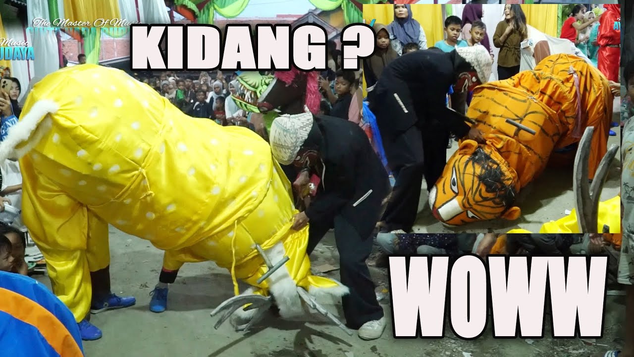 TARUNGAN KIDANG DAN MACAN | BUROK DANGDUT CINTA NADA BUDAYA SHOW DUKUH WANGON 14/06/2025