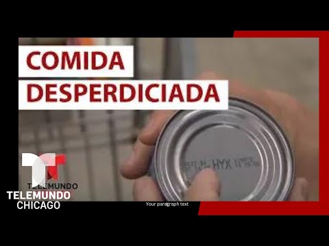 Video: ¿Cómo puedo saber qué tipo de Chihuahua tengo?