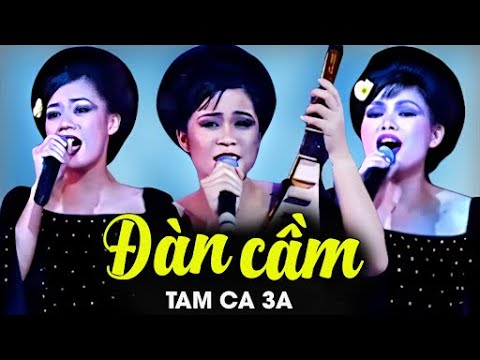 YouTubeでĐàn Cầm -  Tam Ca 3A | Official Music Videoを視聴
