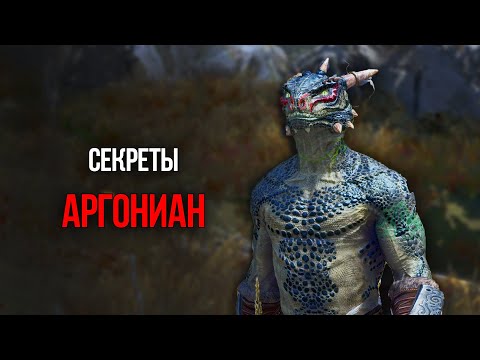 Видео: Skyrim Секреты и Интересные Факты об Аргонианах