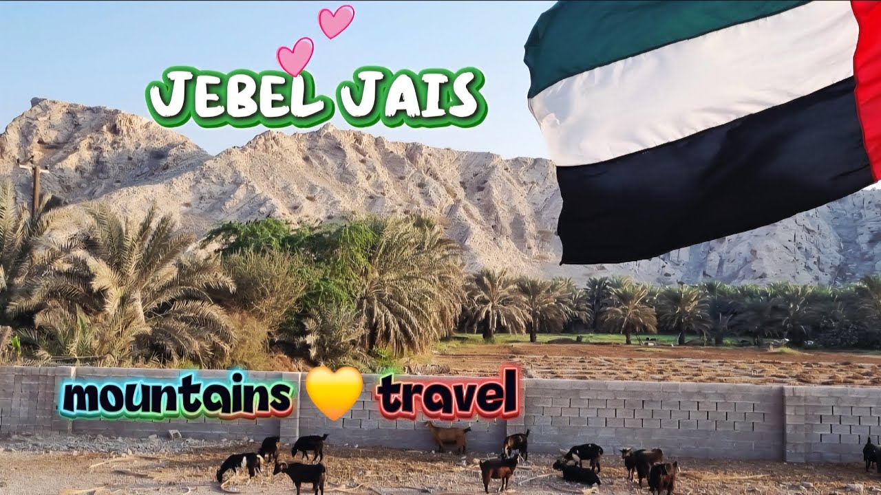 Jebel Jais just 45 minutes away from Ras al khaimah | Travelling to the mountains 