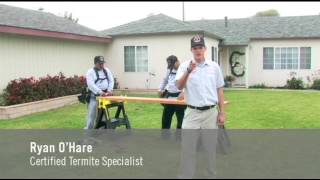 Termite Terry Pest Control is DIFFERENT from ALL other termite companies, find out how!