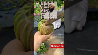 கற்பனை கதைகளும் நமது சமுதாயமும்! | Usthad Aadhil Hassan #islamicshorts #tamilbayan #tamil #tamilmusl