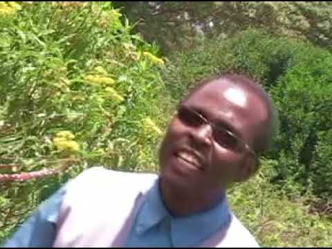 muturire jwa muthiini 2011-murithi wa ngita
