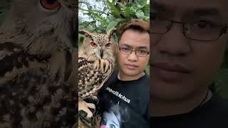 Burung Papa Diam Aja #Shorts #Burung #Animals