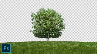 Remove Background with Channel Mask in Photoshop cs6 Using Alpha Channel in Hindi. screenshot 5