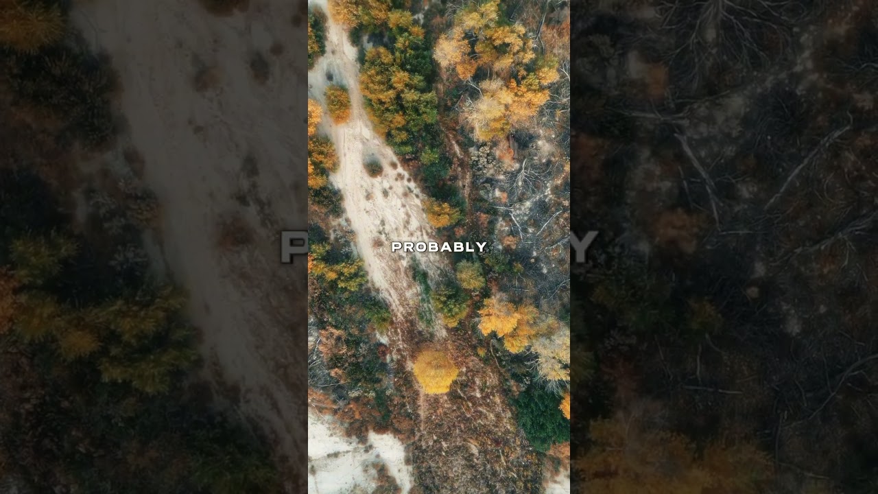 Isolation brings clarity and strength—embrace the growth, reconnect with yourself! 