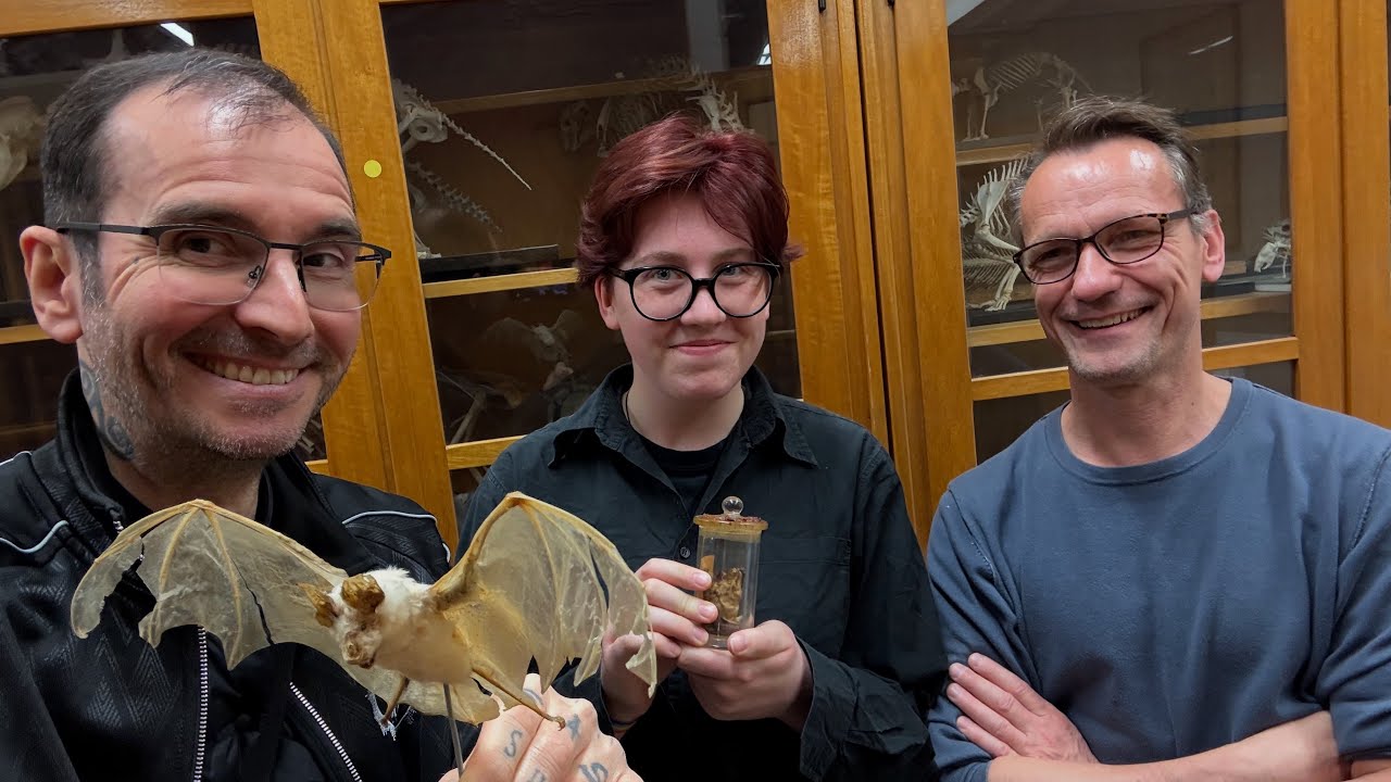 Tier-Sammlungen in Köln 🦓