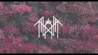 Drums & Bass Only – Provider - Sleep Token - (Isolated Tracks)