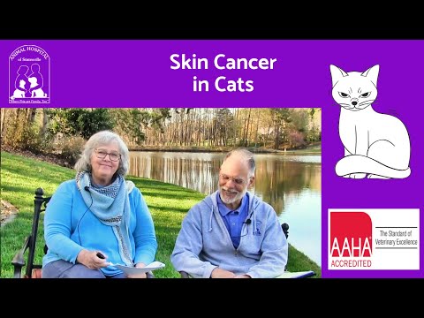 वीडियो: माई कैट बीट स्किन कैंसर (फेलाइन सबकटेनिअस हेमांगियोसारकोमा)