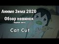 Они сделали - Мы смотрим! Обзор новинок зимы 2020 (Часть1)