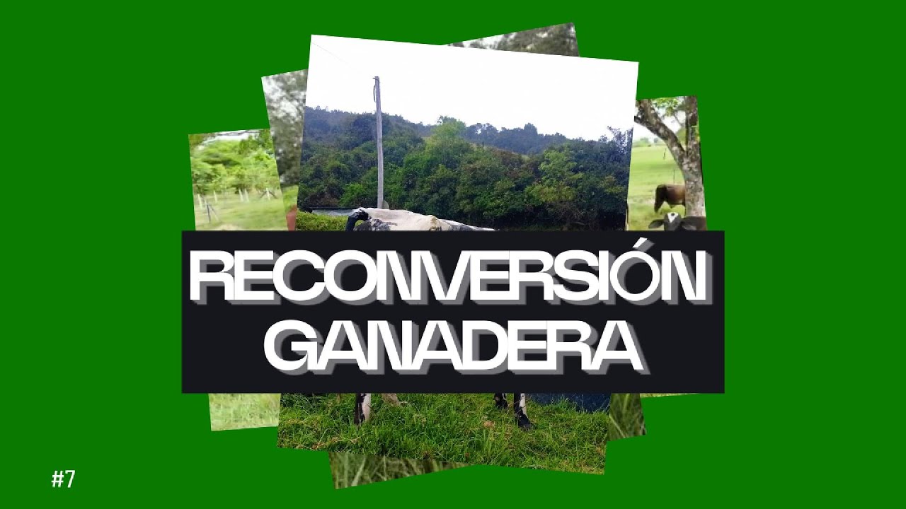 RECONVERSIÓN GANADERA