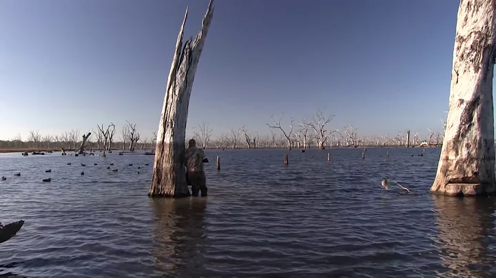 Fowl Talkers - Western Victoria Duck Hunting