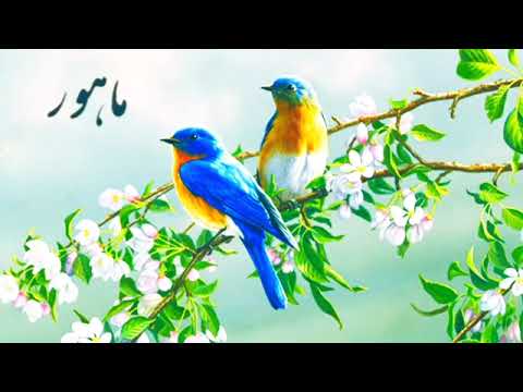 تصنیف ها و ترانه های دستگاه ماهور بخش اول