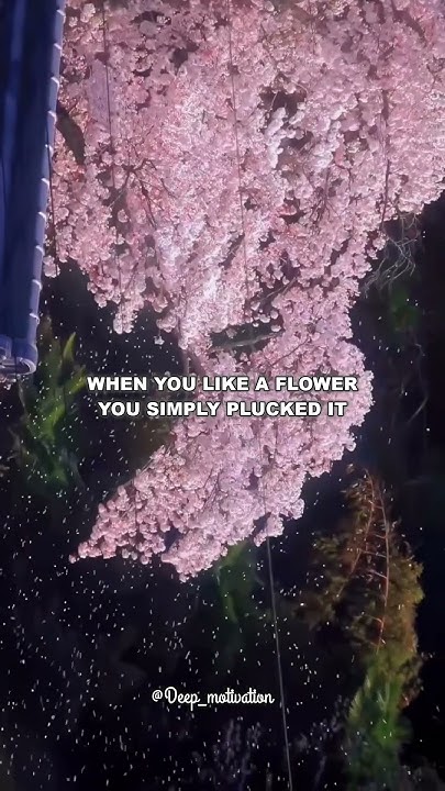 difference-between-liking-and-loving-you-aesthetic-shortsfeed-fyp