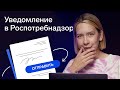 Как подать уведомление о начале предпринимательской деятельности в Роспотребнадзор