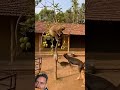#monkey #funny #animals #cute #kindnessiscool