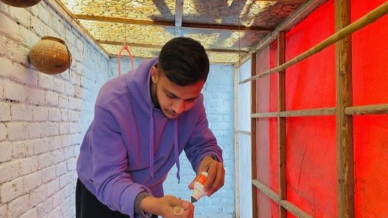 Silver Zebra Finches Ko Rescue Kiya⛑️