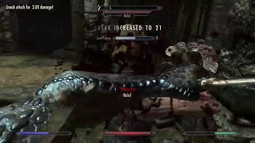 Skyrim character Slaughter them all episode 3 training with ralof