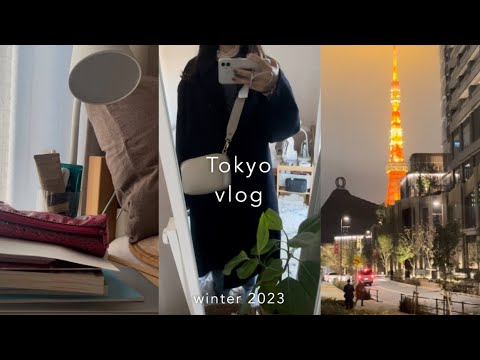 ⛄️12月まとめブイログ/入社前資格試験勉強期間📚/クリスマスマーケット/1ヶ月分購入品🛍️