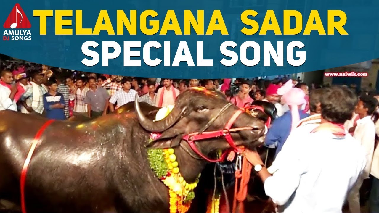 Sadar Festival New Folk Song | Telangana Sadar Festival Song 2019 | Amulya DJ Songs