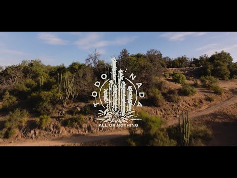 FEST X TODO O NADA 2025