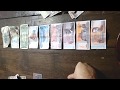 LIVING IN CAMBODIA, MONEY, FAKES, FORGERY AND BROKEN MONEY, DOLLARS AND RIEL.