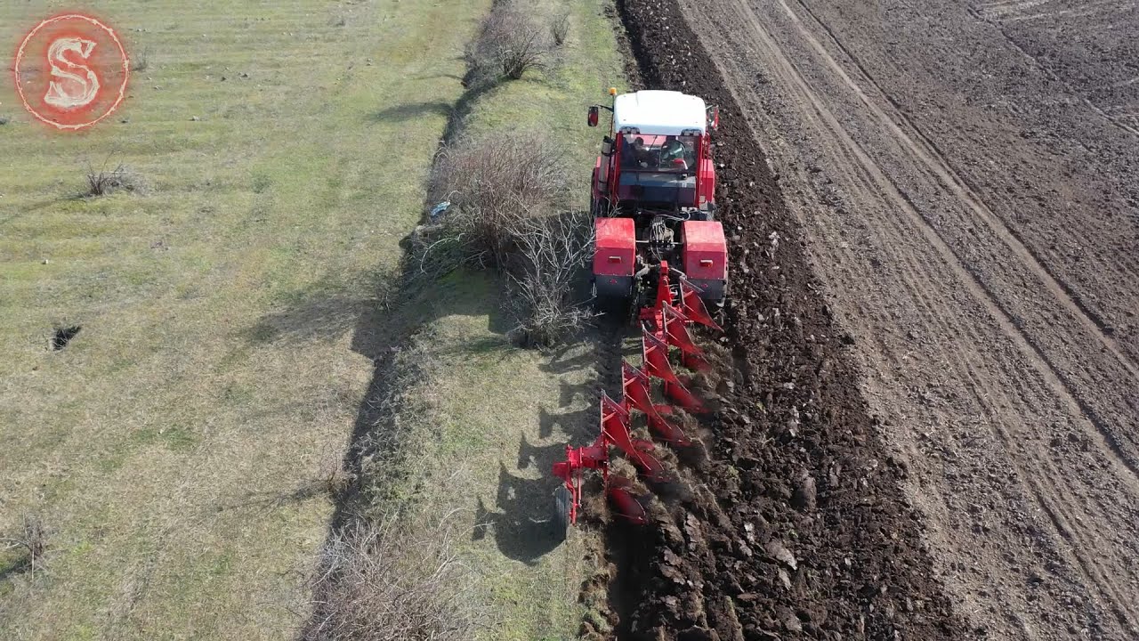 Plug OPTIKON  Master A5