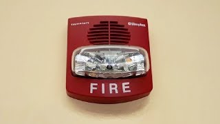 TrueAlert Horn Strobe Fire Alarm