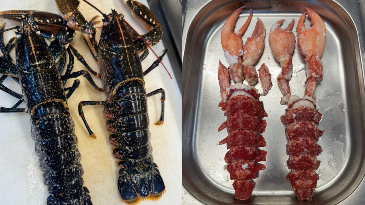 Comment cuire et décortiquer un Homard entier 🦞