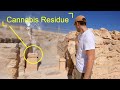 Shocking Discovery at Ancient Temple in Israel