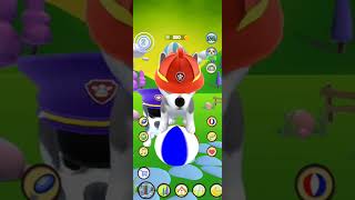 Talking Husky Dog #shorts screenshot 5