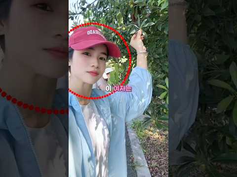 친구들 다 속이기 thumbnail