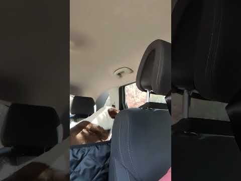 Out In These Streets