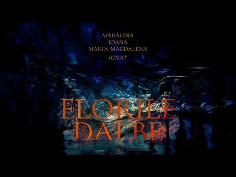 Florile Dalbe | Madalina Ignat x Ioana Ignat x Maria Magdalena Ignat