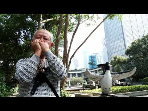 男性苦戀