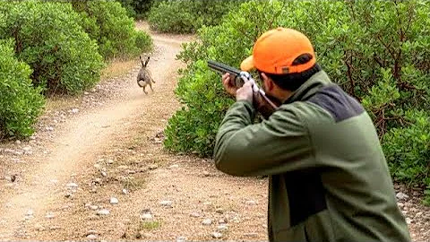 Hunting Partridges and Hares Season 2025/2026 PART 5- EL HAJEB