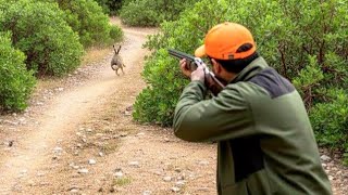 Hunting Partridges And Hares Season 20252026 Part 5- El Hajeb