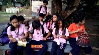 CSTHS - 2 GV (M.E)