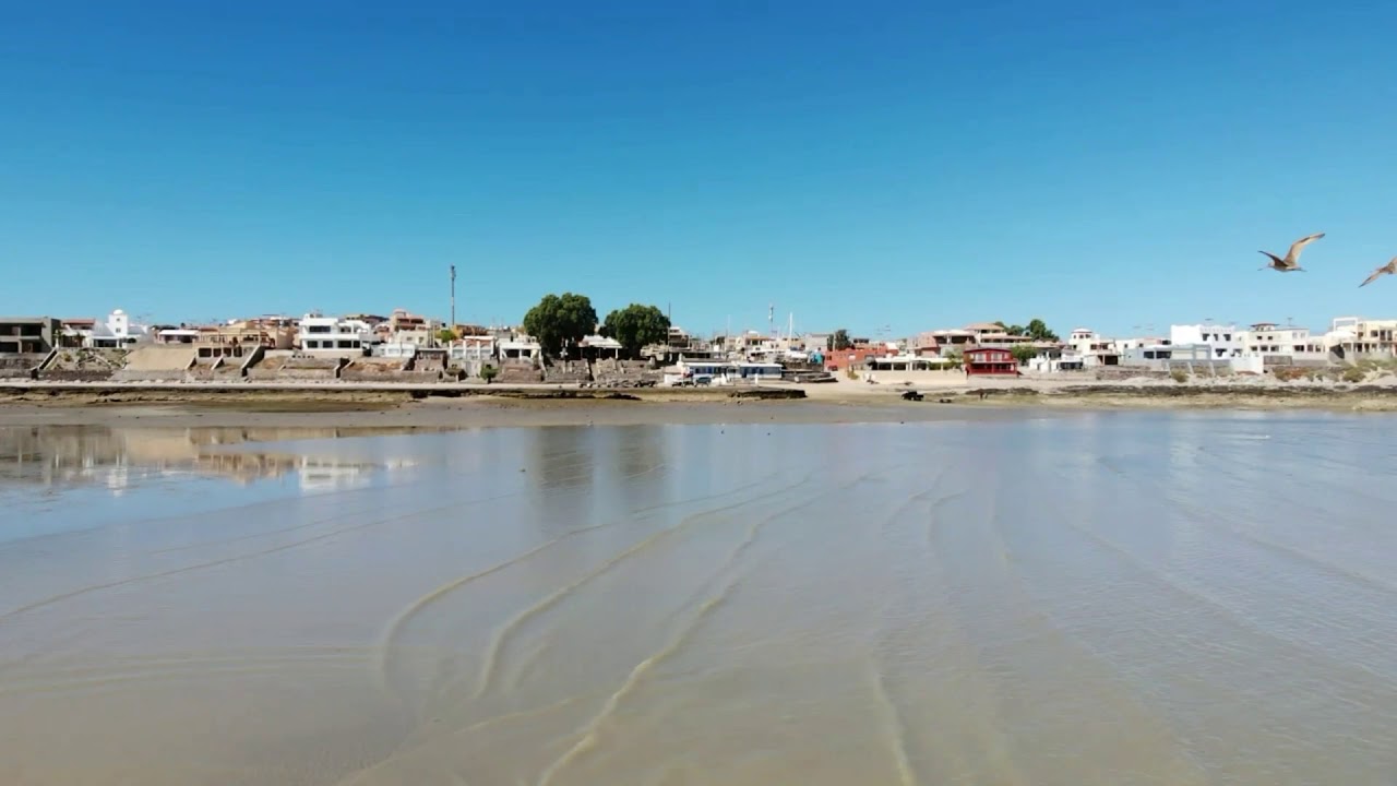 La cholla bay puerto peñasco YouTube