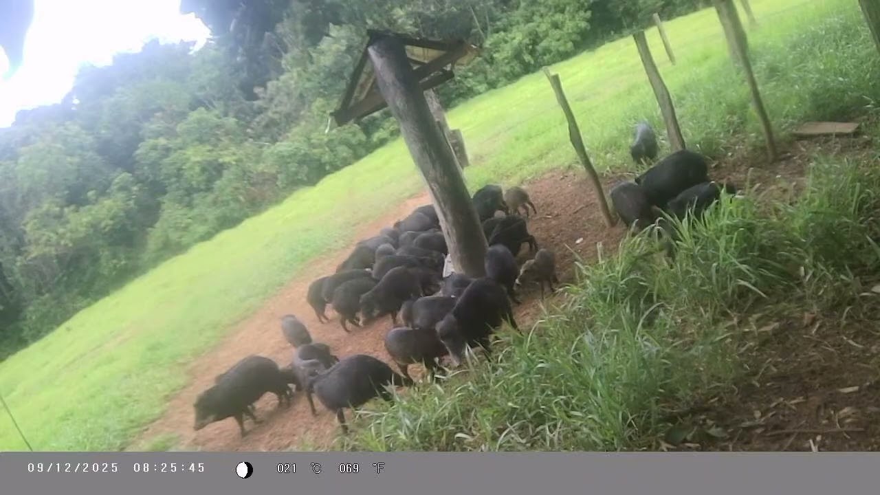 14 de janeiro de 2026