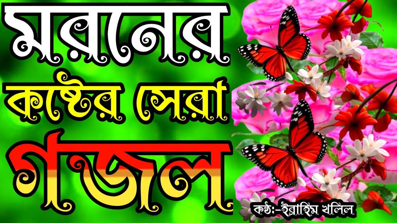 Lauren Juice yalangoch kopik