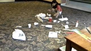 20130430_183533.mp4
