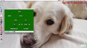 【机器学习实战】 第3章 决策树 - 案例：使用决策树预测隐形眼镜类型 - v2.0.0 | ApacheCN