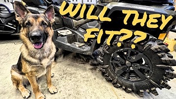 IS THIS THE BEST ALL-AROUD ATV TIRE? 28" SuperATV INTIMIDATORS!