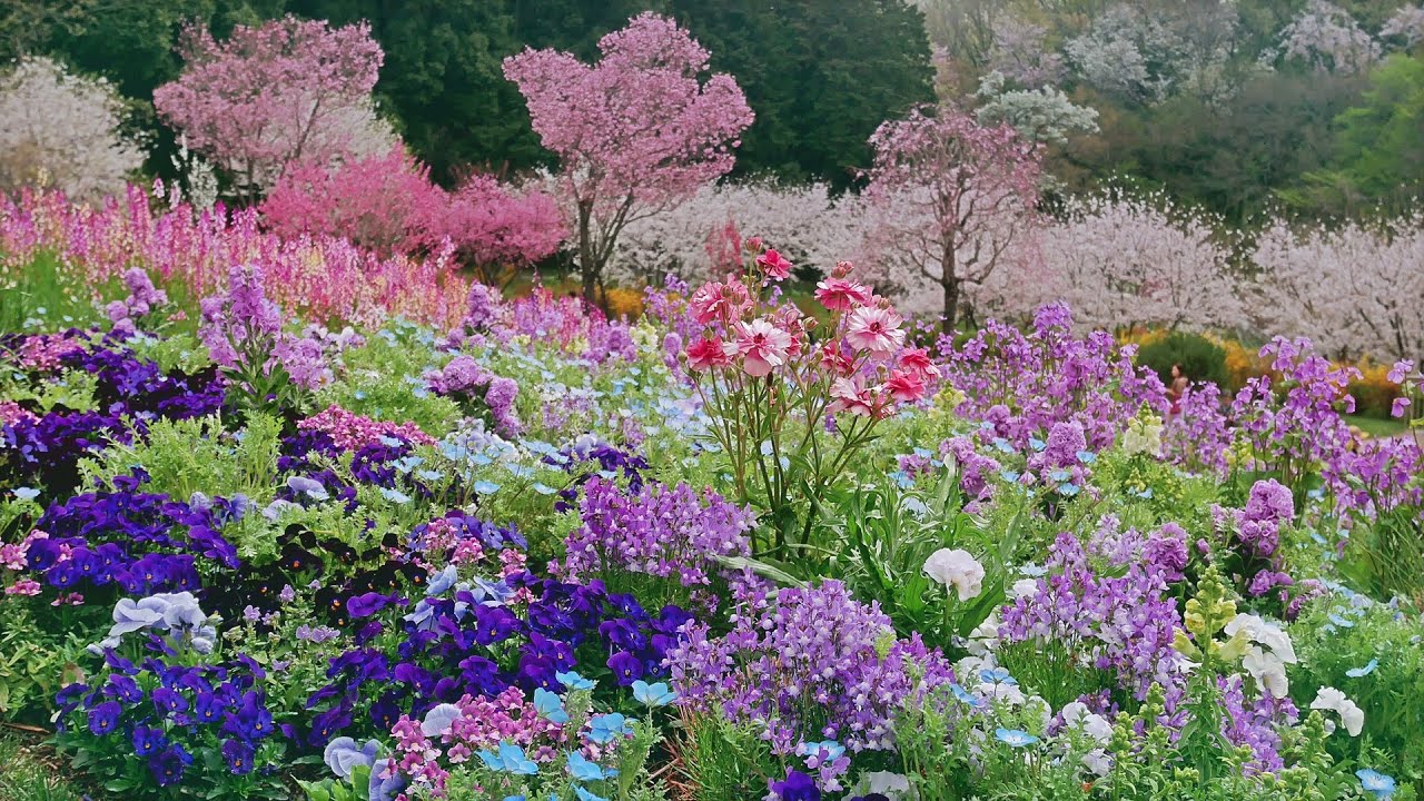 【2025 春の里山ガーデンフェスタ】 神奈川県 横浜市 spring season